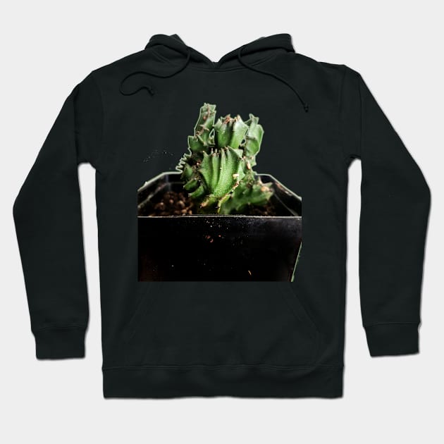 Cactus Hoodie by IanWylie87